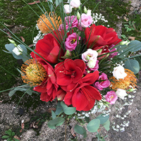 „išskirtinis dėmesys”